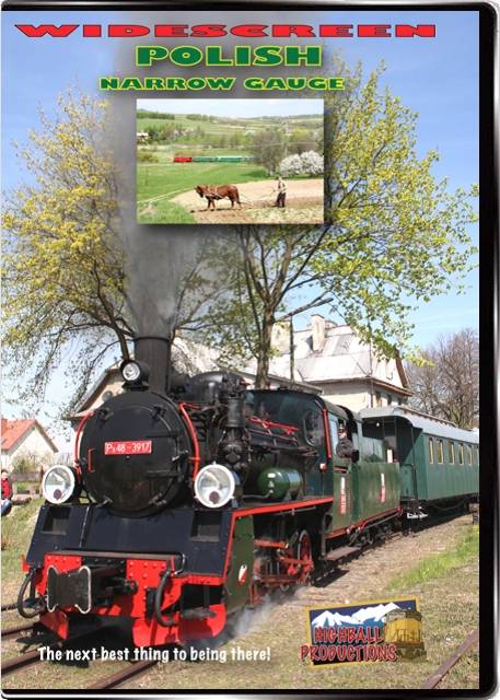 Polish Narrow Gauge